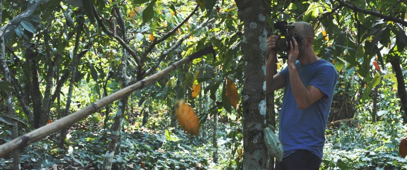 cocoa in ghana video